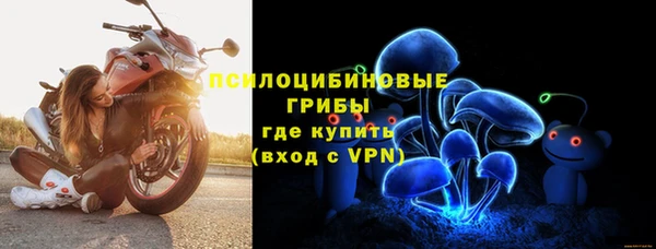 винт Аркадак