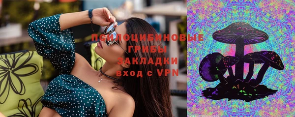 дживик Гусев