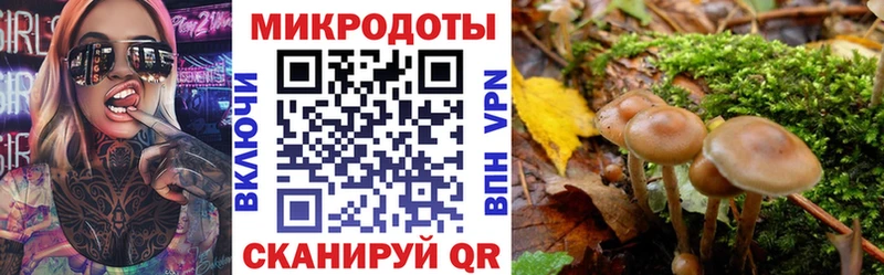 Галлюциногенные грибы мухоморы  наркотики  Свирск 